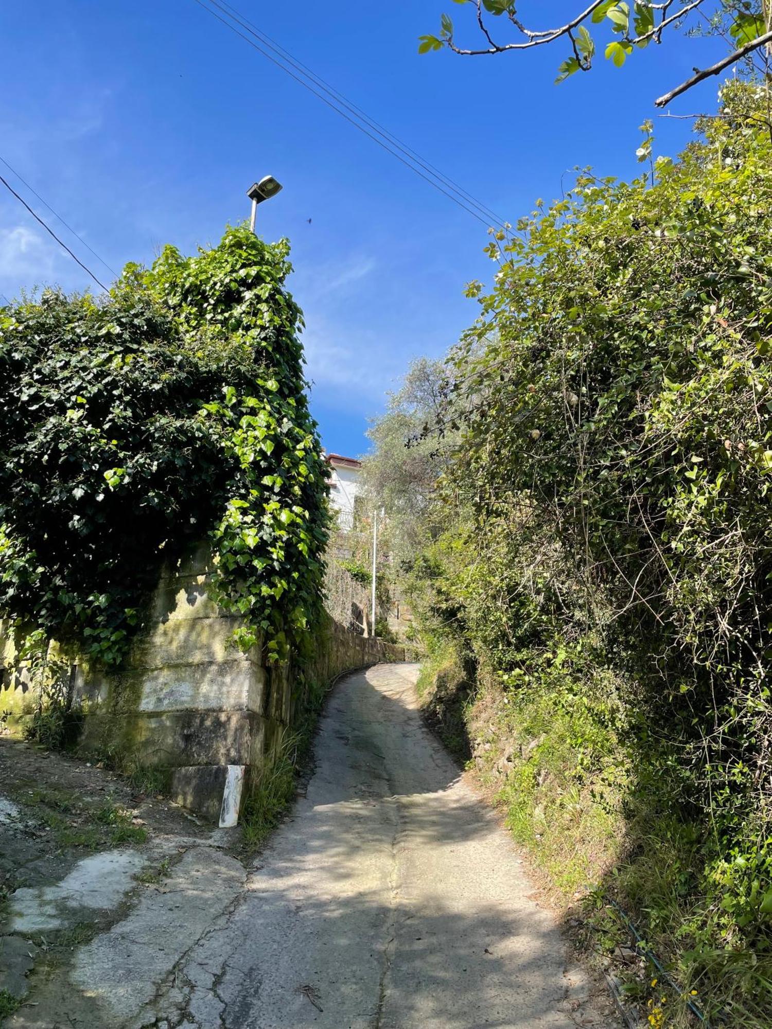 La Casa Dell'Ulivo Villa Imperia Exterior photo